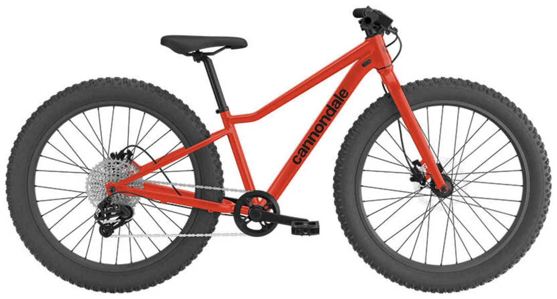 bikester1004380