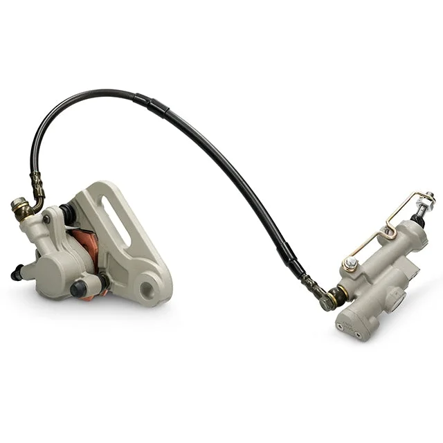 motoscoot1003340