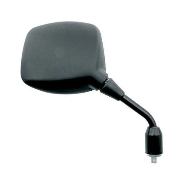 motoscoot1003821