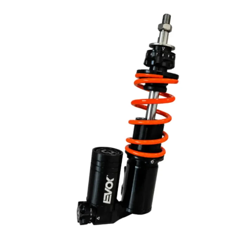 motoscoot1227994