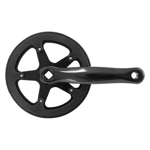 velo-store-120261021044241115006