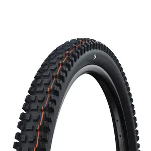velo-store-120261021194506200571