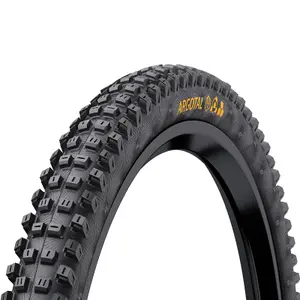 velo-store-120261022071707299825