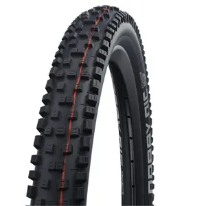 velo-store-120261022073748303189