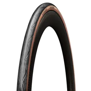 velo-store-120261023011722477672