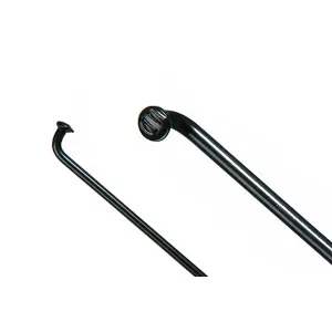velo-store-22026102020571551282