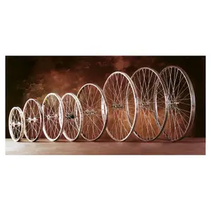 velo-store-22026102100444281889